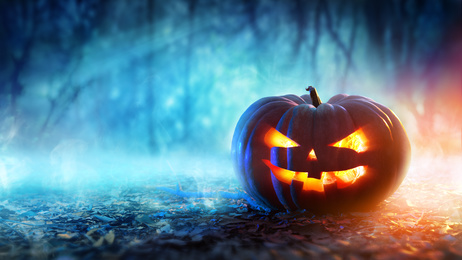 Jack-o-Lantern Halloween Photo